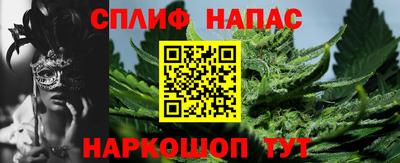 гидра Шахты