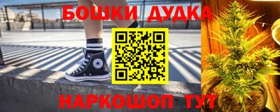 гидра Шахты