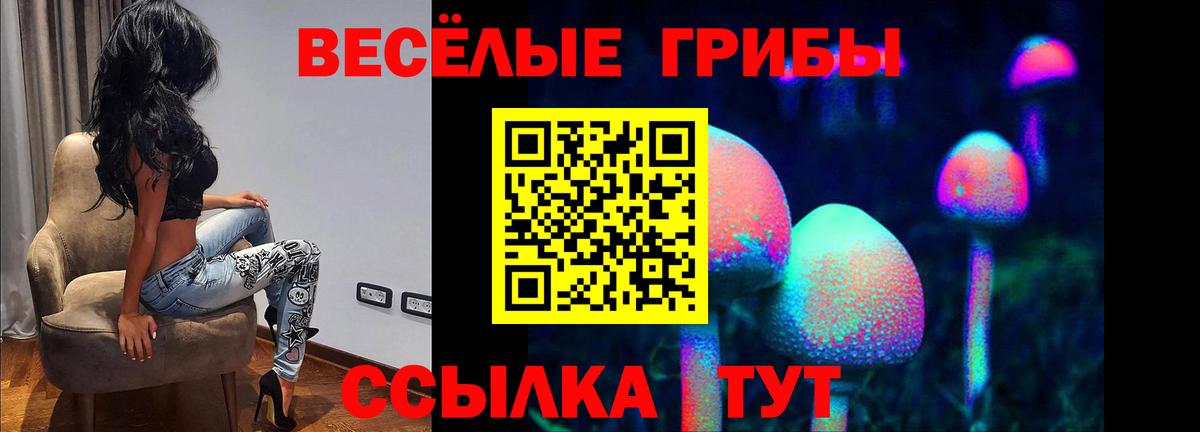Псилоцибиновые грибы GOLDEN TEACHER Мичуринск